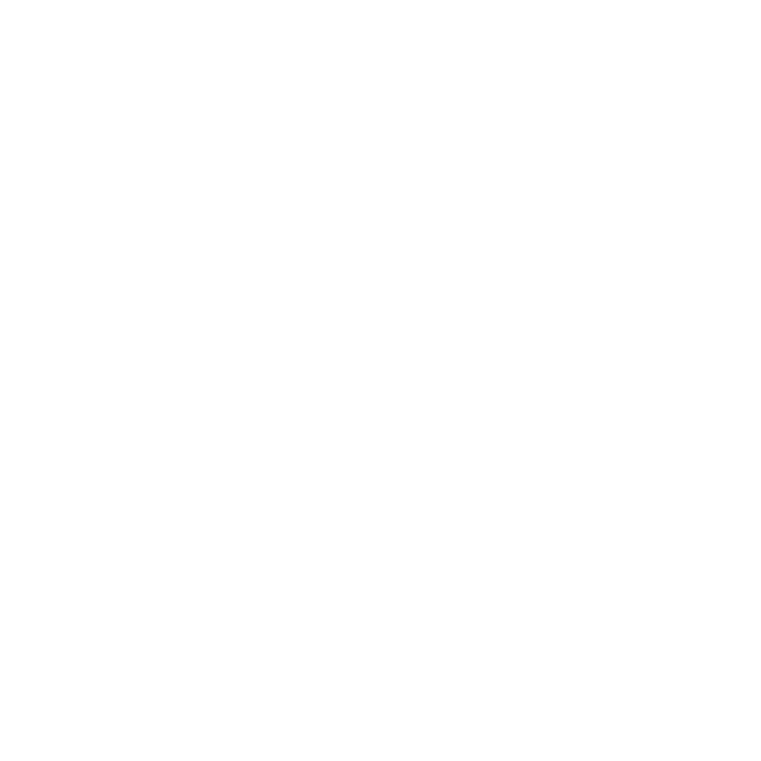 ÁRBOL DE ZAPATOS